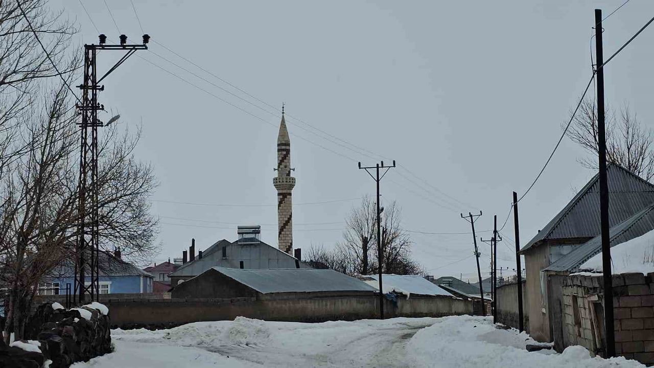 Adilcevaz'da Kuduz Tehdidi: Kömürlü Köyü Karantinaya Alındı