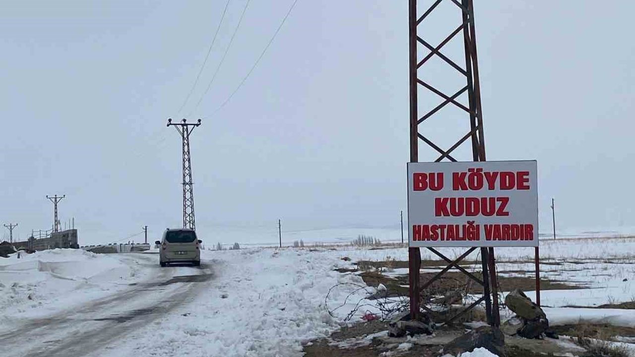 Adilcevaz'da Kuduz Tehlikesi: Kömürlü Köyü Karantinaya Alındı