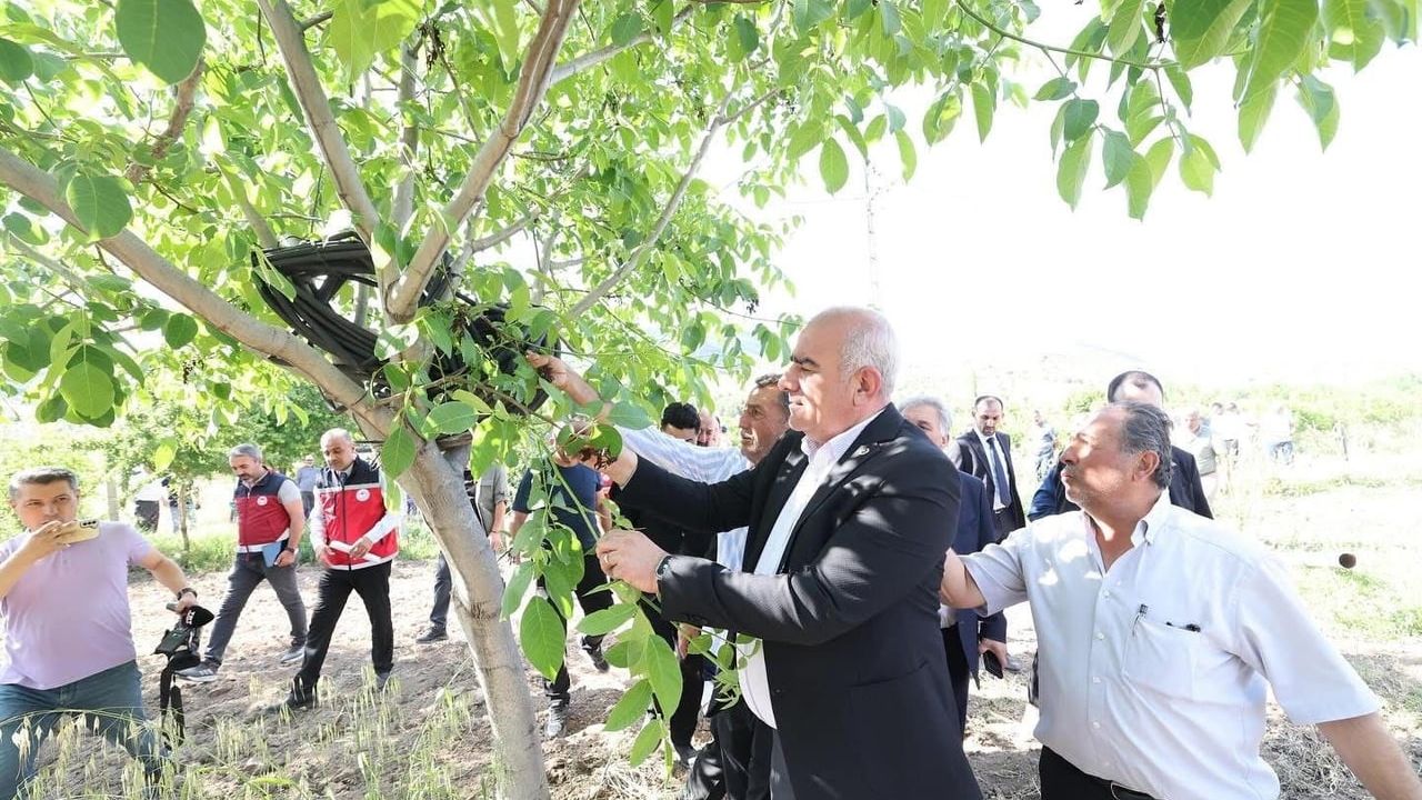 Adıyaman'da Zirai Don Destek Ödemeleri Başladı