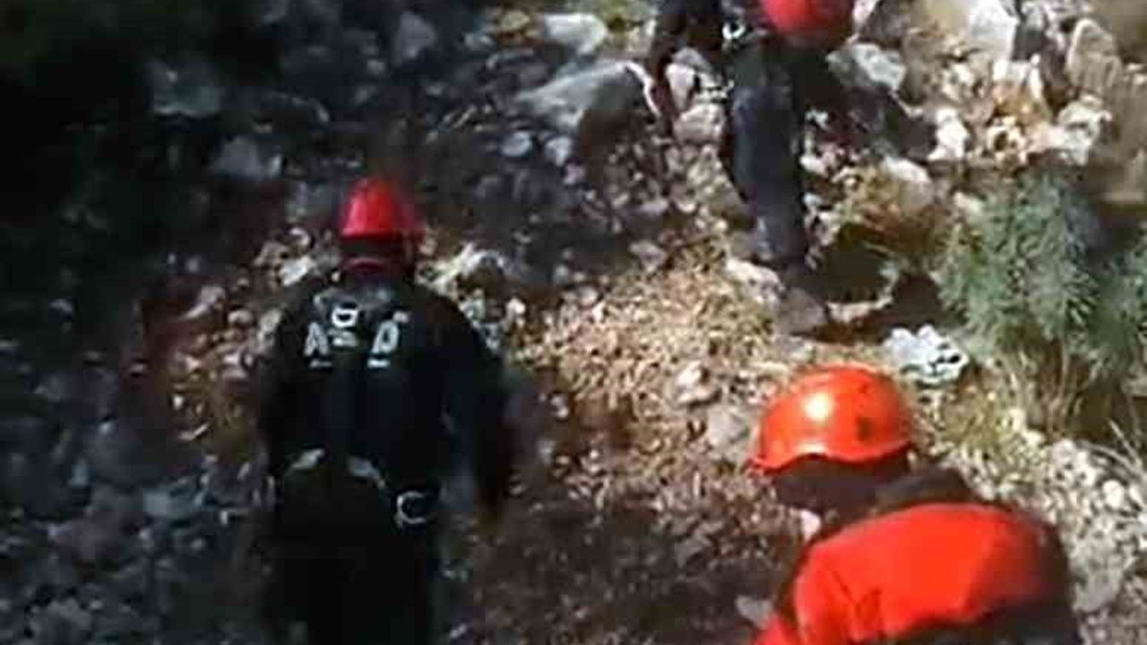 AFAD'dan Sarp Kayalıklardaki İki Keçiyi Kurtarma Operasyonu