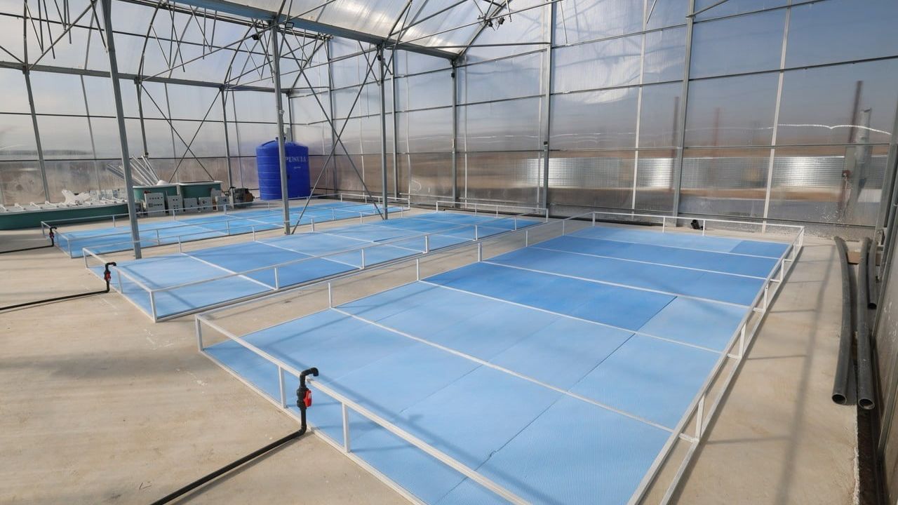 Afyonkarahisar'da Jeotermal Destekli Su Ürünleri Projesi Başladı