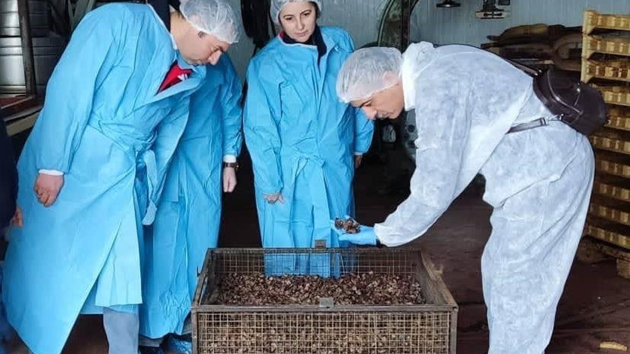 Afyonkarahisar'da Köpek Maması Hammadde Tesisinde Denetim Gerçekleştirildi