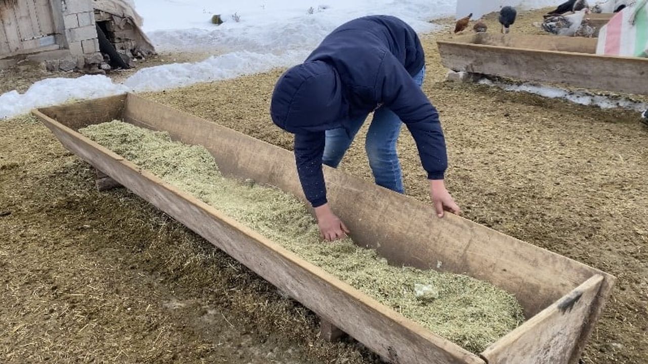 Ağrı'da Besicilerin Kış Mücadelesi