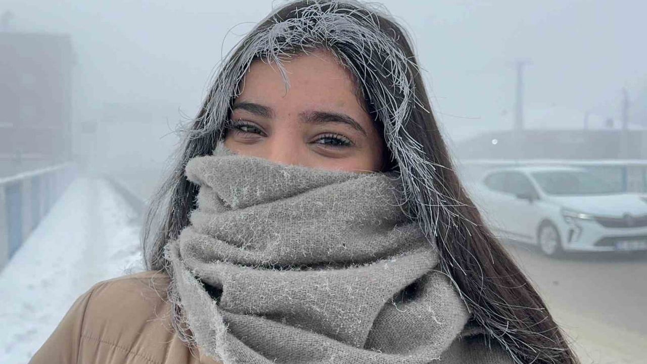 Ağrı'da Dondurucu Soğuk Hava Etkili Oldu