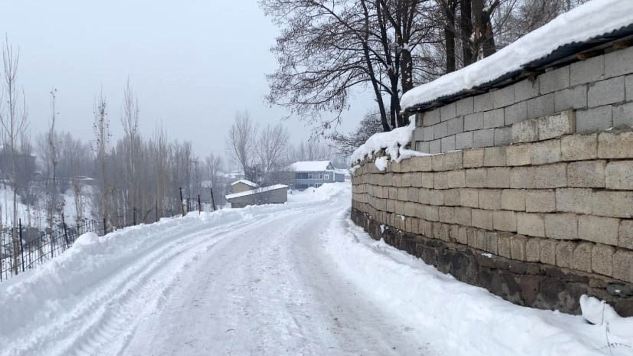 Ağrı'da Dondurucu Soğuklar Hayatı Olumsuz Etkiliyor