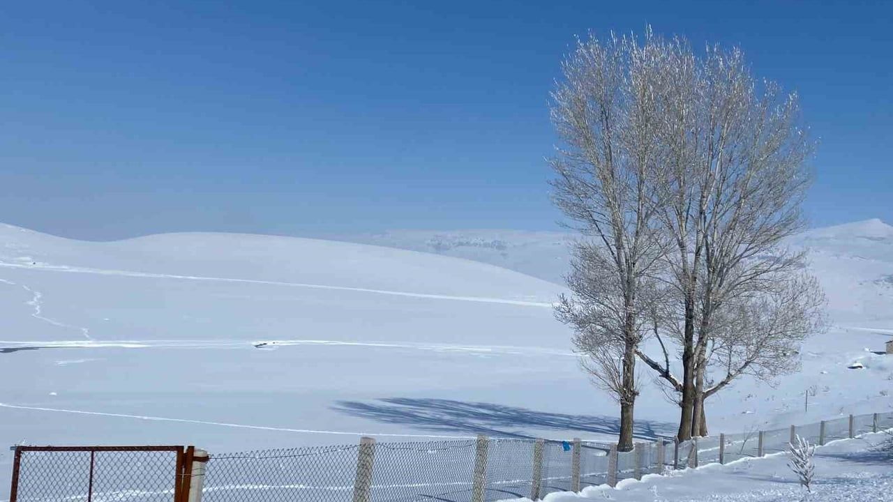 Ağrı'da Kar Manzarası: Görsel Şölen