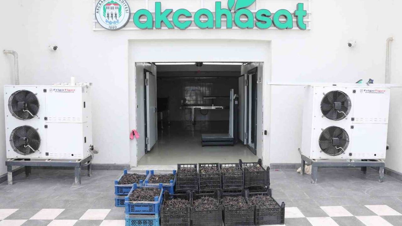 Akçaabat'ta Yerel Meyve ve Sebzeler Marketlerde