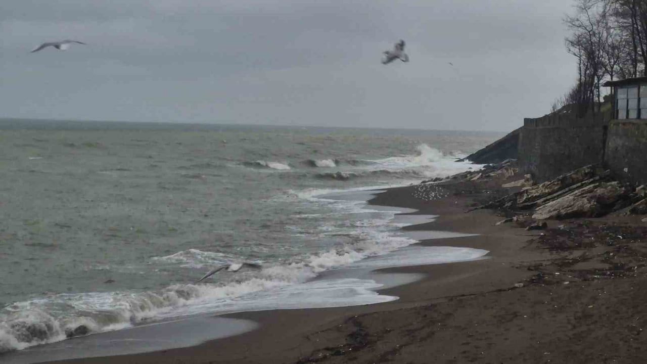 Akçakoca'da Sağanak Yağış ve Fırtına Etkili