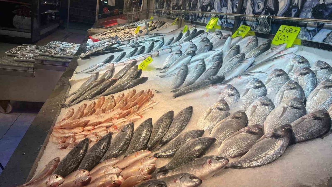 Alanya'da Balıkçıdan Örnek Davranış: Şehit ve Gazi Ailelerine Ücretsiz Balık