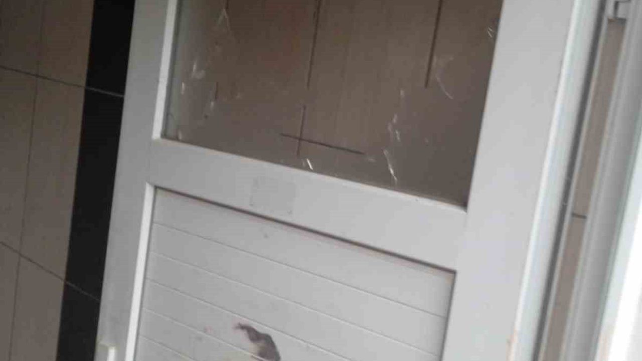 Alanya'da Umumi Tuvalet Tahrip Edildi