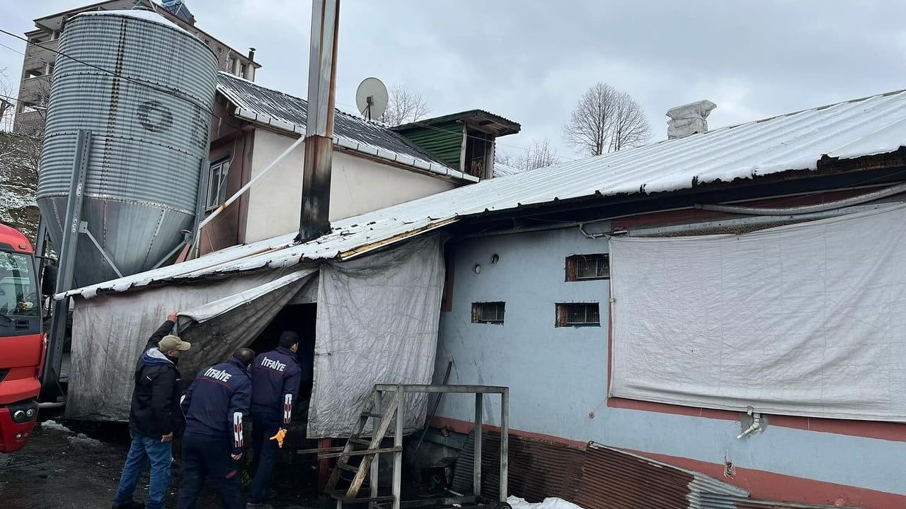 Alaplı'da Tavuk Kümesinde Yangın Çıktı