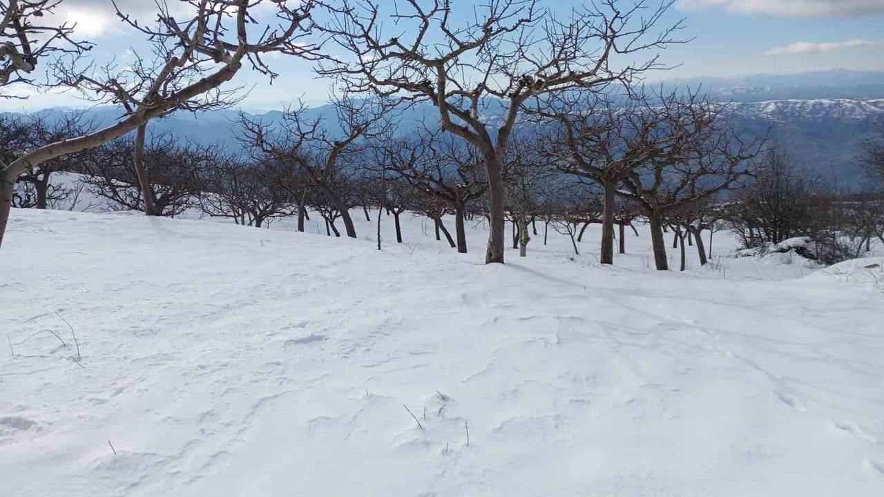 Alaşehir'de Çocuklar Karla Buluşuyor
