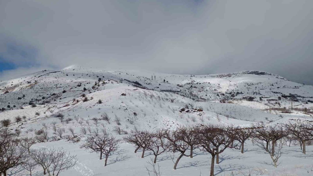 Alaşehir'de Kar ve Yağmur Çiftçiye Umut Verdi