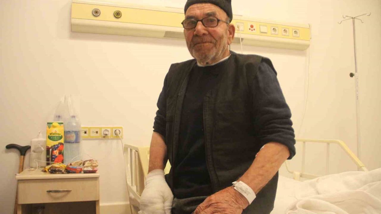 Ali Meşe, Bir Yangının Hatırası ve Sonsuzluğu