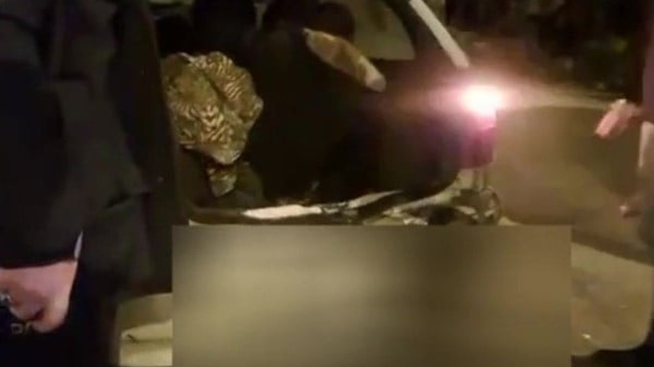 Amasya'da 5 Kaçak Göçmen Yakalandı