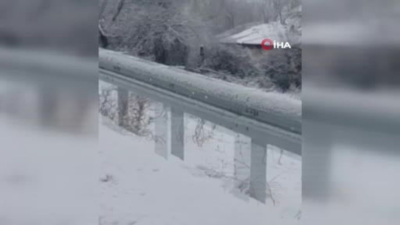 Ankara'da Karacalar Sürü Halinde Görüntülendi