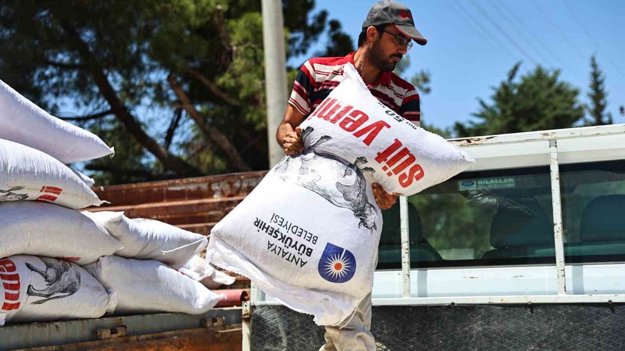 Antalya Büyükşehir 2025'te Hayvancılığa Destek Artırıyor