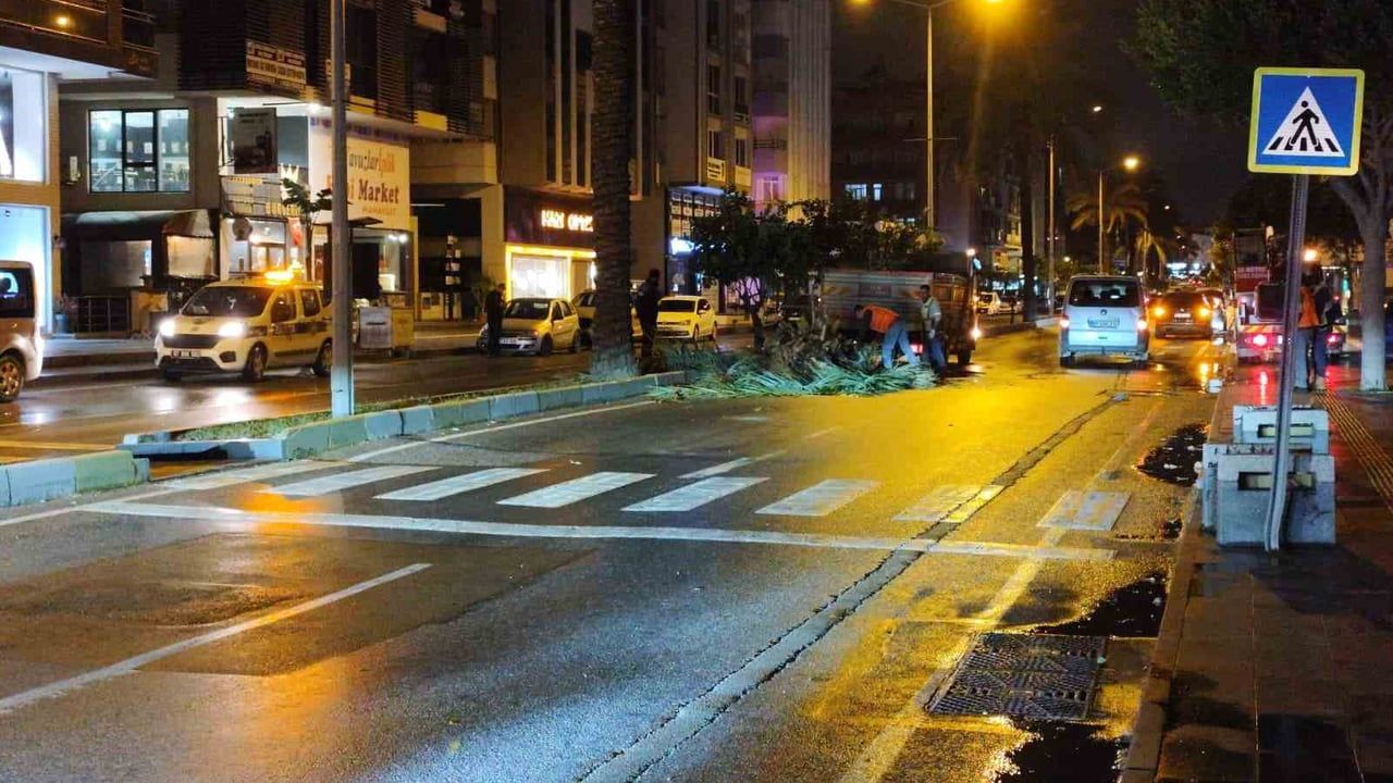 Antalya'da Fırtına Etkisini Gösterdi: Palmiyeler Devrildi
