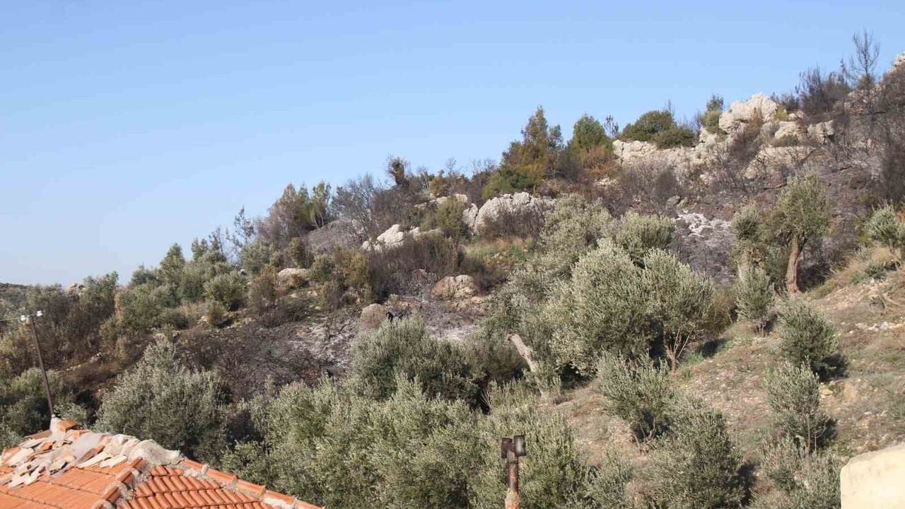 Antalya'da Orman Yangını: 2 Hektar Zarar Gördü