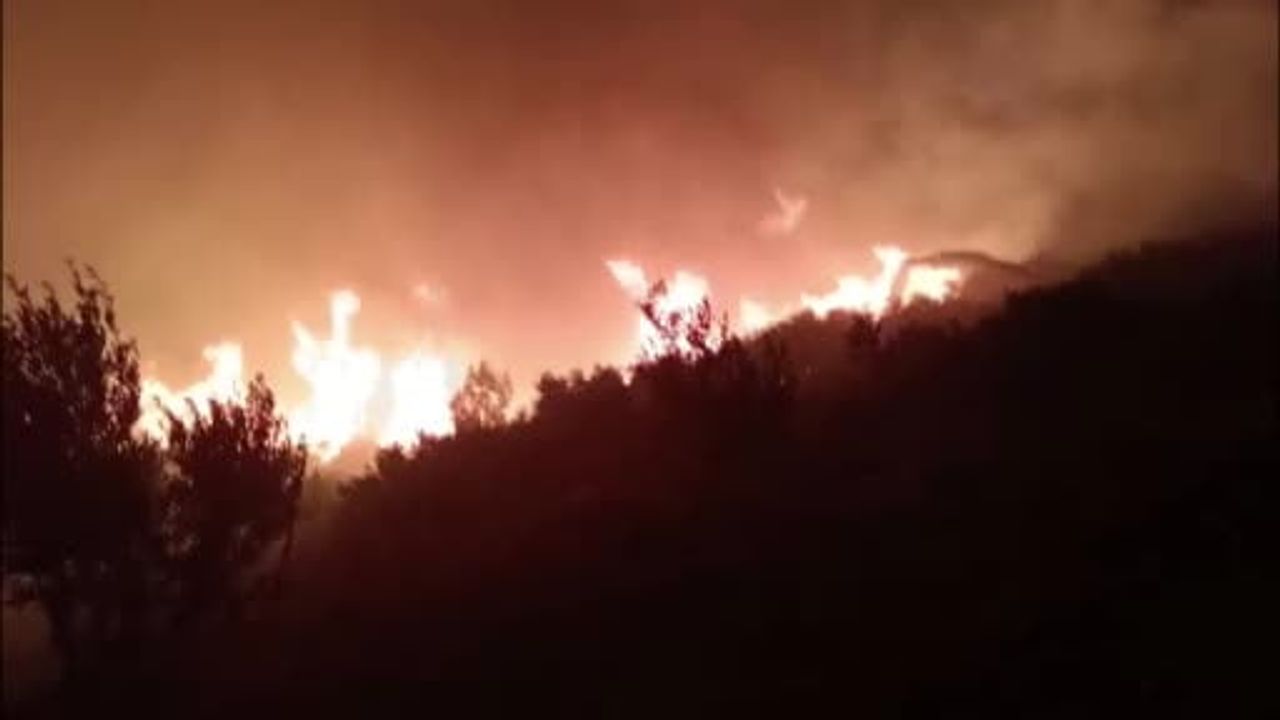 Antalya'da Orman Yangını Çıktı