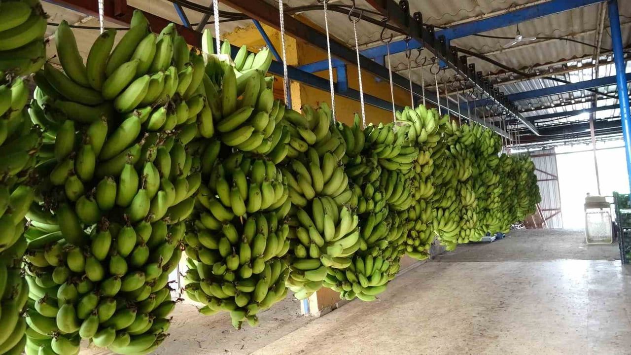 Antalya Ticaret Borsası Aralık 2025 Hal Endeksi Açıklandı