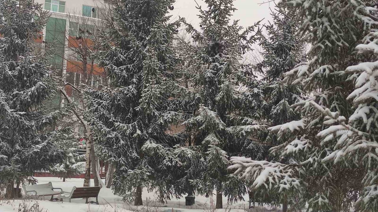 Ardahan'da 45 Köy Yolu Ulaşıma Kapandı