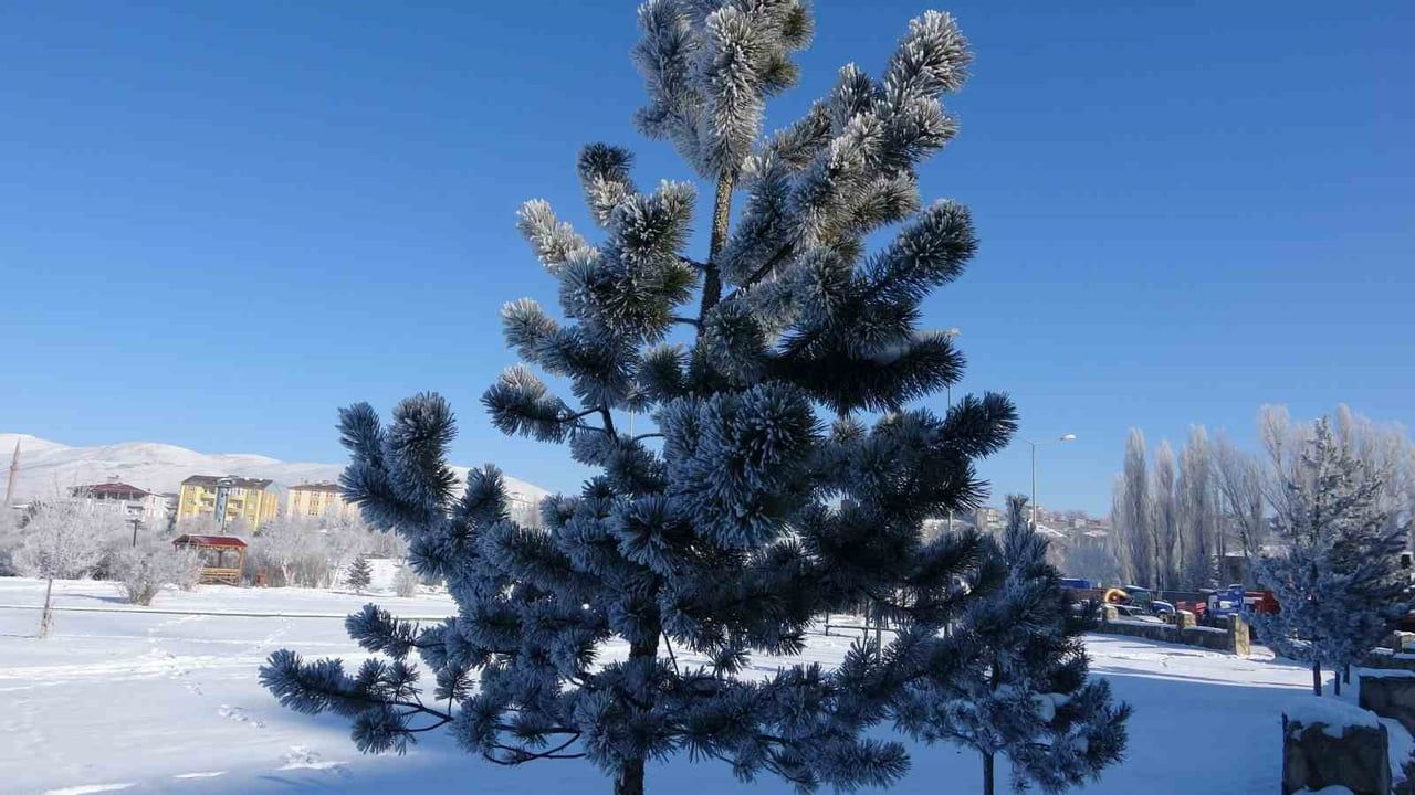 Ardahan'da Dondurucu Soğuklar Etkili