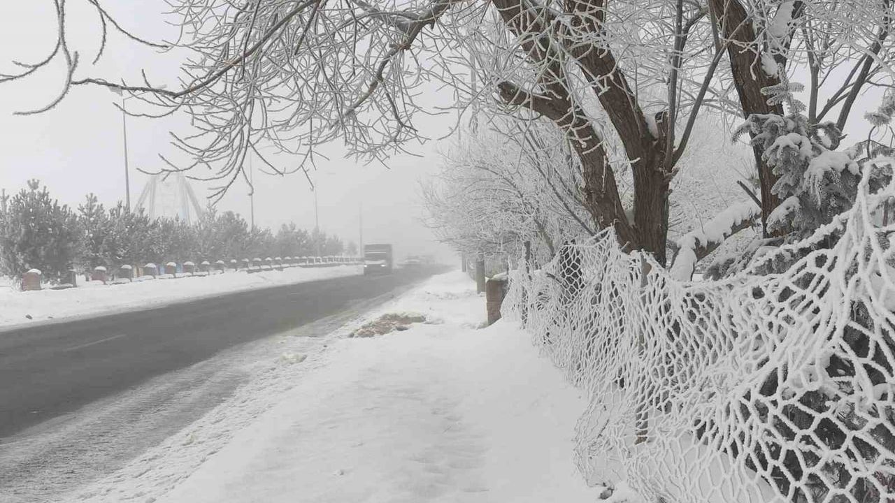 Ardahan'da Dondurucu Soğuklar Yaşamı Durdurdu