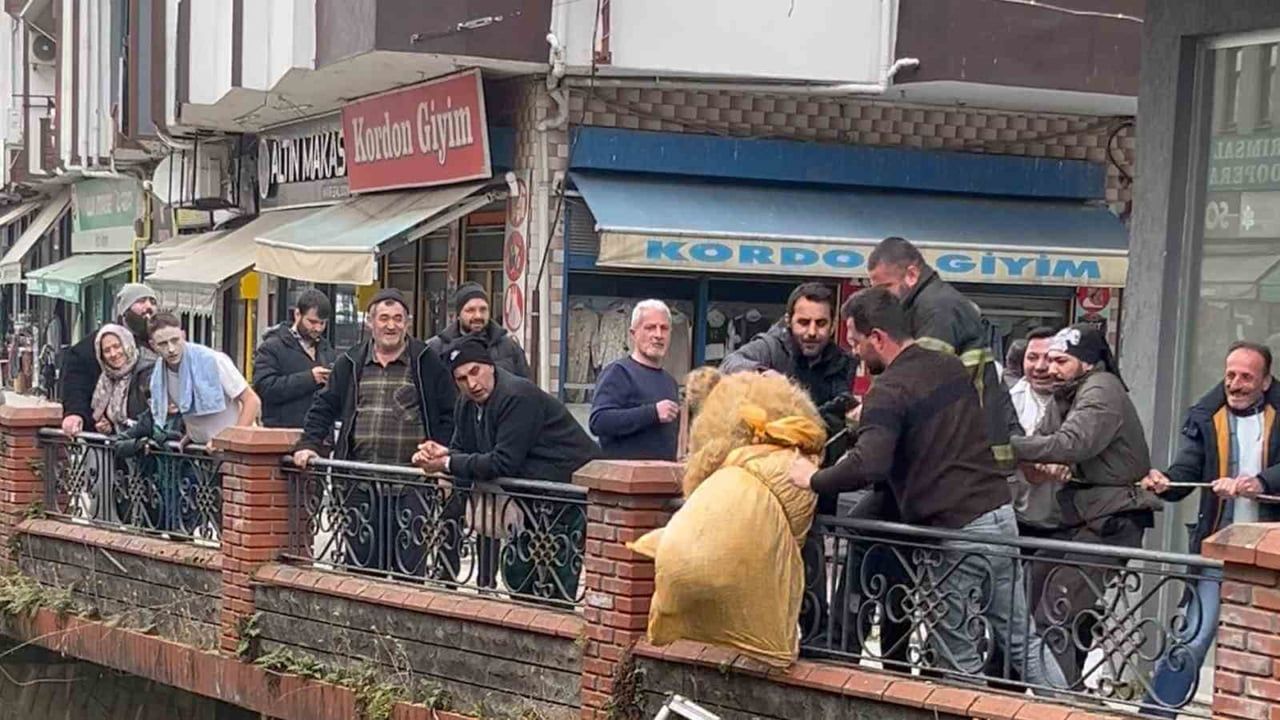 Ardeşen'de Dere Yatağında Mahsur Kalan Köpek Kurtarıldı