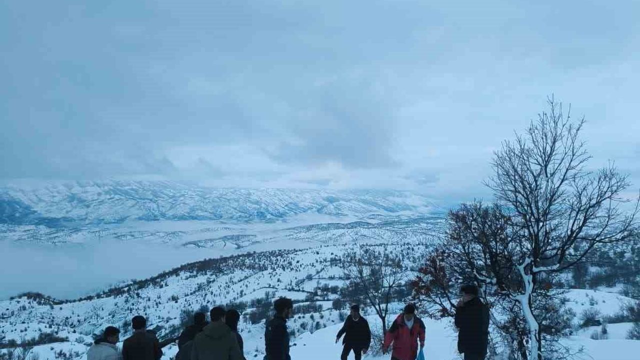 Arıcak'ta Yaban Hayvanlarına Destek