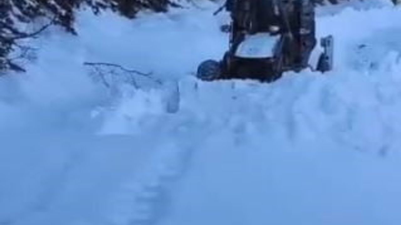 Artvin'de Kar Yağışı 130 Köy Yolunu Kapatmış Durumda