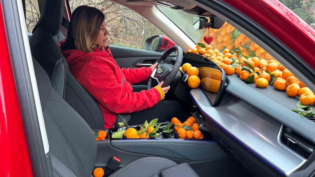 Artvin'de Mandalina Hasadı Renkli Anlar Yaratıyor