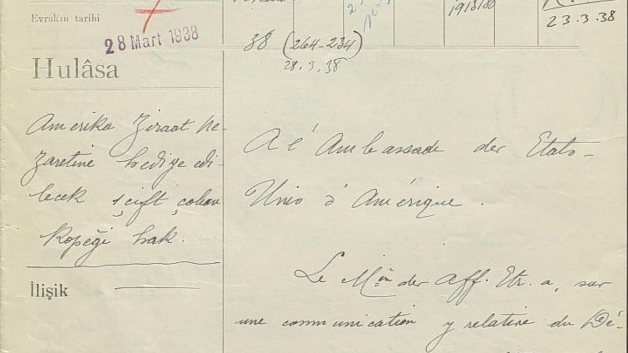 Atatürk'ün Onayıyla Erzurum'dan Okyanusu Aşan Köpekler