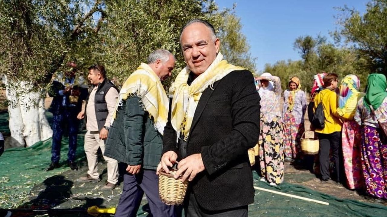 Ayvalık Zeytinyağı Sektöründe Markalaşma Çalışmaları