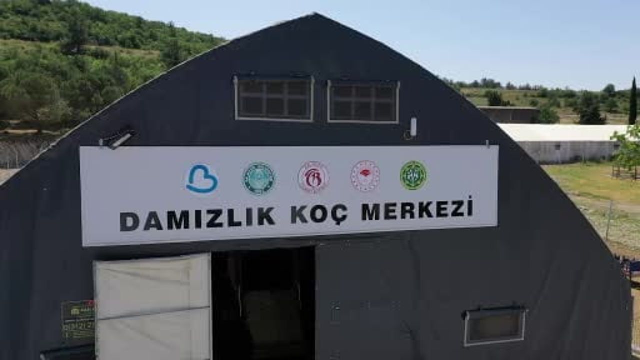 Balıkesir'de Çiftçilere Tam Destek: Yüzde 100 Hibeli Damızlık Dağıtımı