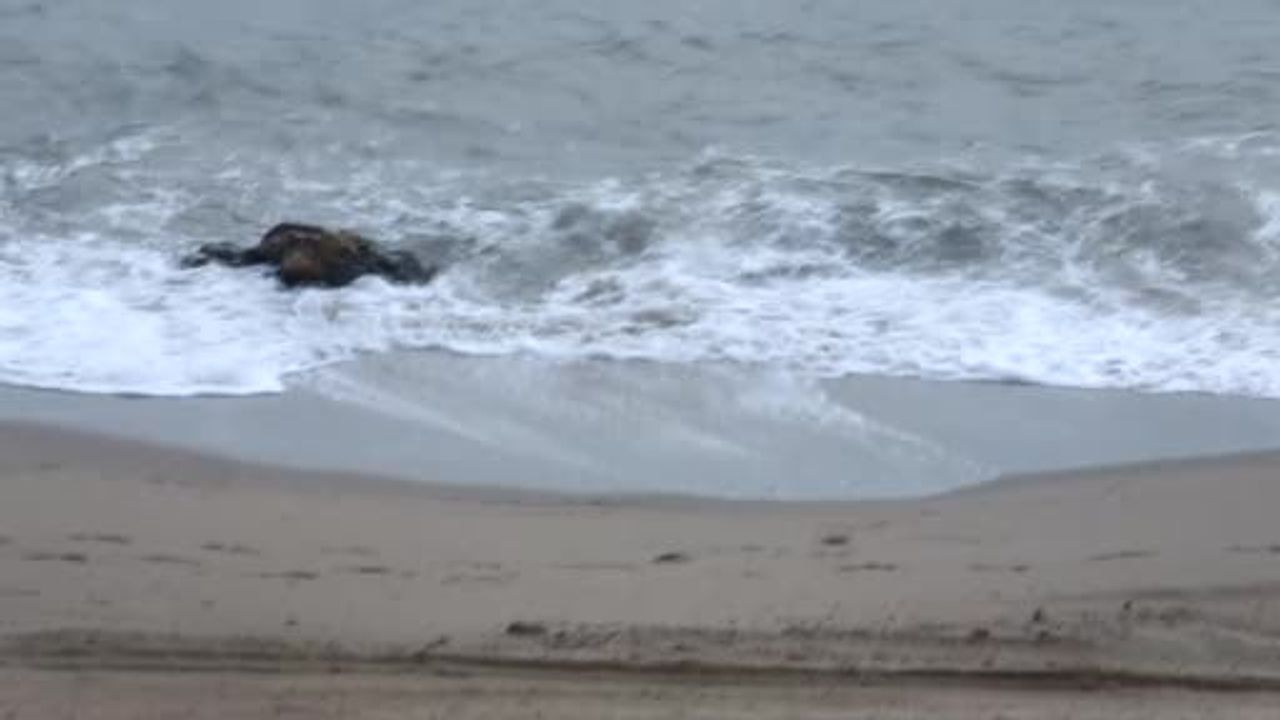 Balıkesir'de Fırtına Nedeniyle Yük Gemileri Edremit Körfezi'ne Sığındı