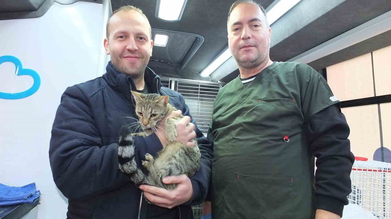 Balıkesir'de Sokak Hayvanlarına Ücretsiz Tedavi Desteği