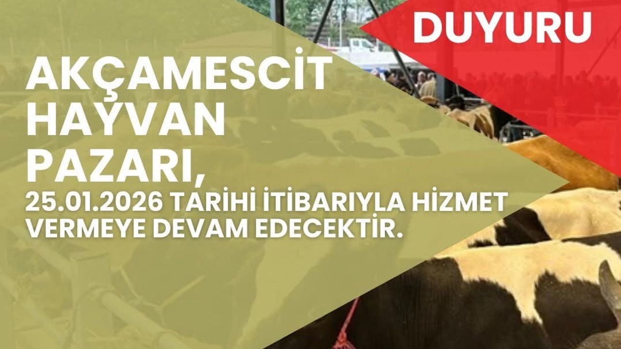 Bartın Hayvan Pazarı Yeniden Açılıyor