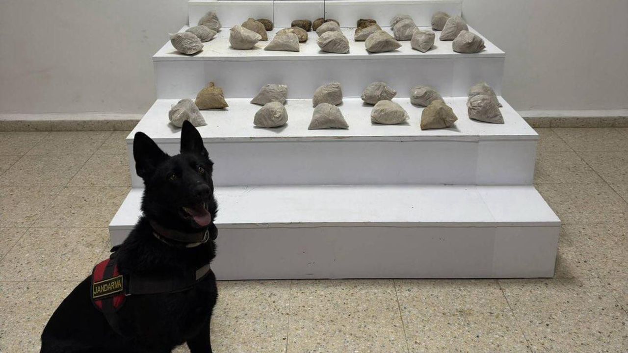 Başakale'de Jandarma Operasyonu: 24 Kilogram Eroin Ele Geçirildi