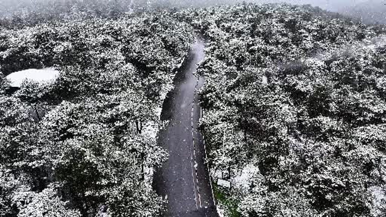 Başakşehir Şamlar Tabiat Parkı Karla Beyaza Büründü