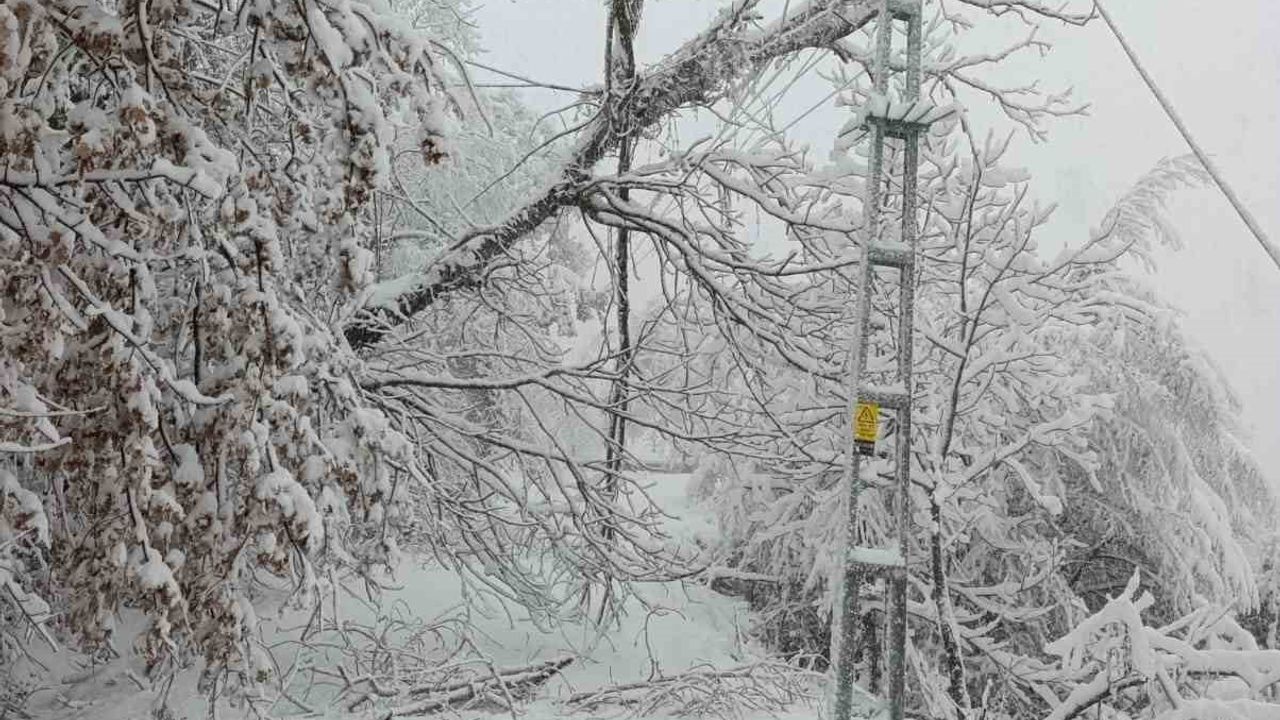 Başkent EDAŞ Zorlu Kış Şartlarında Enerji Arzını Kesintisiz Sağlıyor