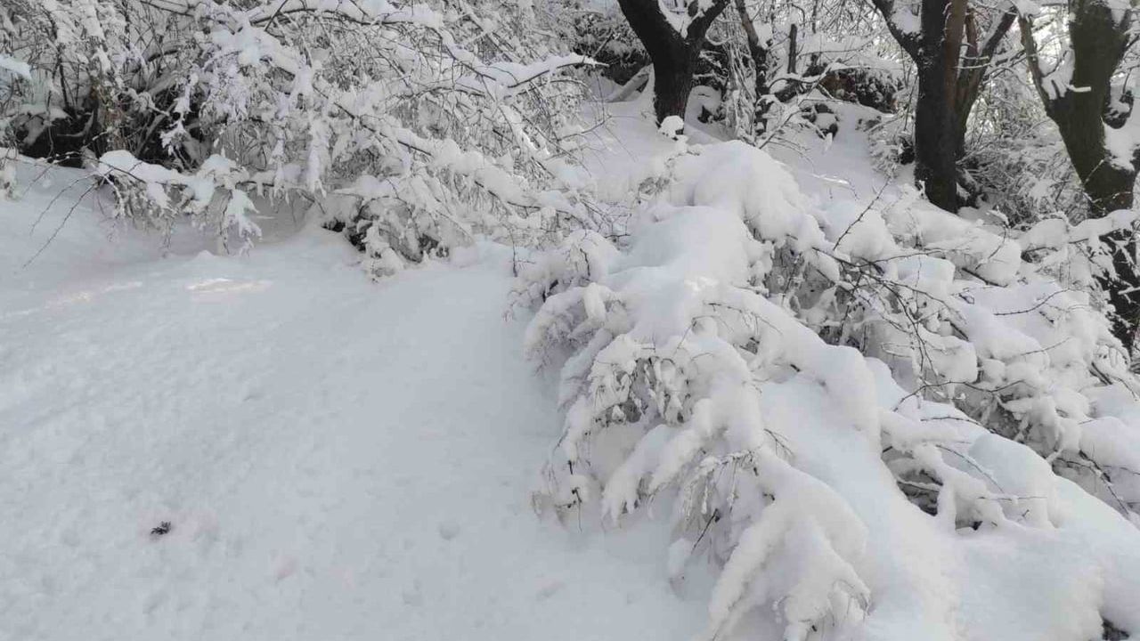 Batman'da Kar Yağışı Etkisini Gösterdi