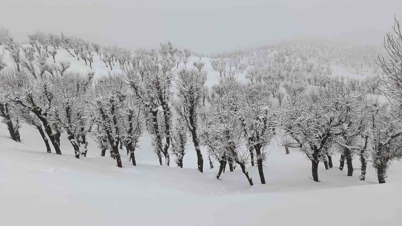 Batman'da Kar Yağışı Ulaşımı Olumsuz Etkiliyor