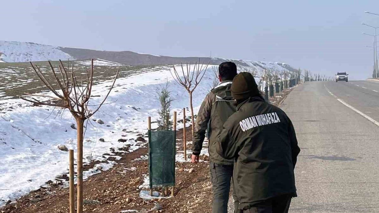 Batman'da Yaban Hayatı İçin Destekleyici Çalışmalar