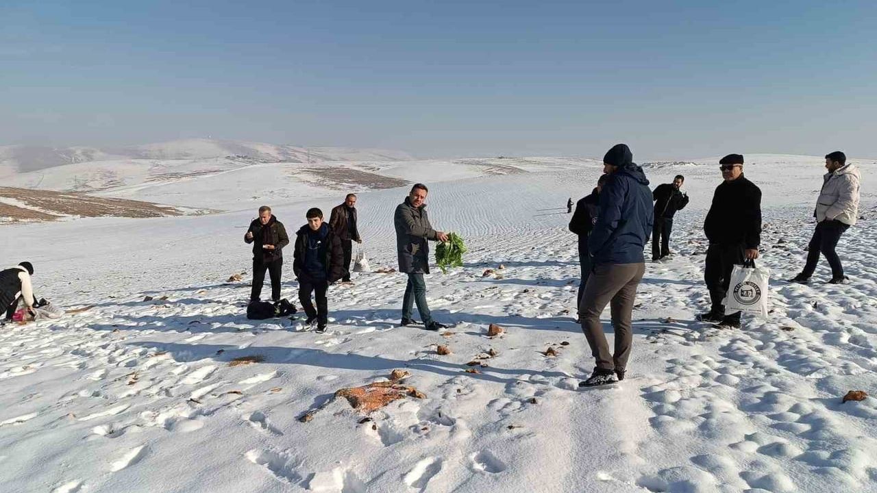 Batman'da Yaban Hayvanları İçin Yem Bırakıldı