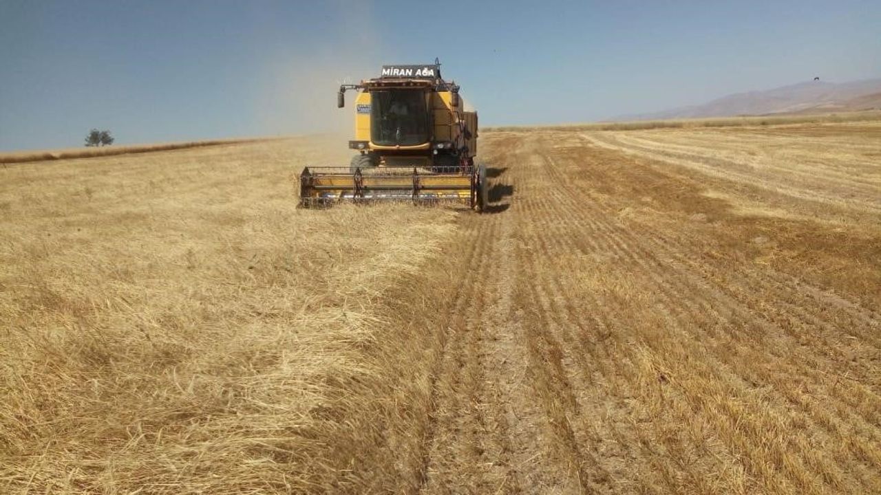 Bayburt'ta Besicilere Yemlik Arpa Satışı Başlıyor