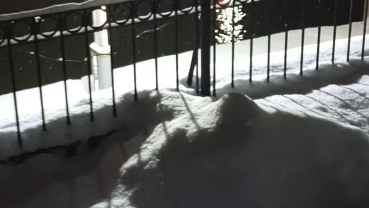 Bayburt’ta Eşli Su Samuru Görüntülendi