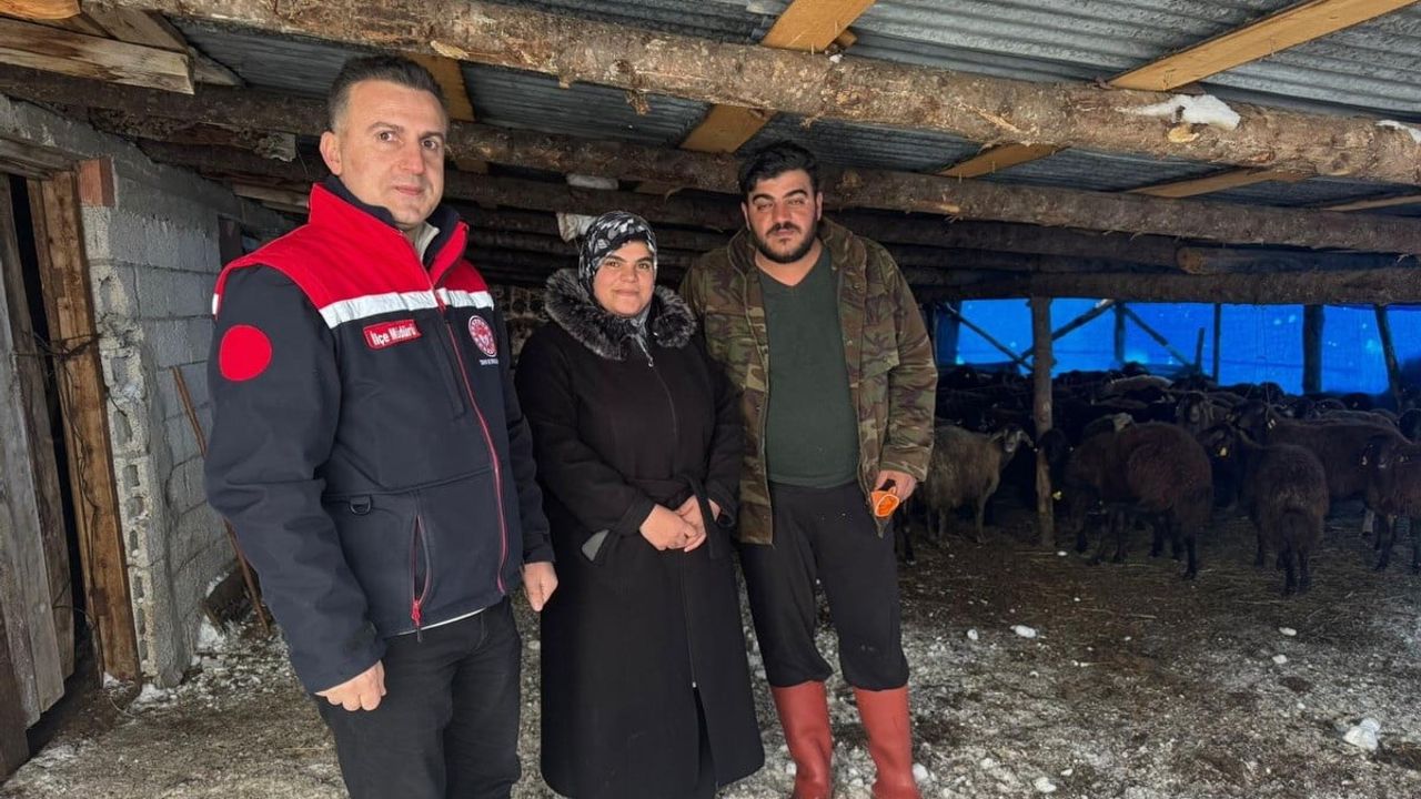 Bayburt’ta Hayvancılık Destekleri Devam Ediyor