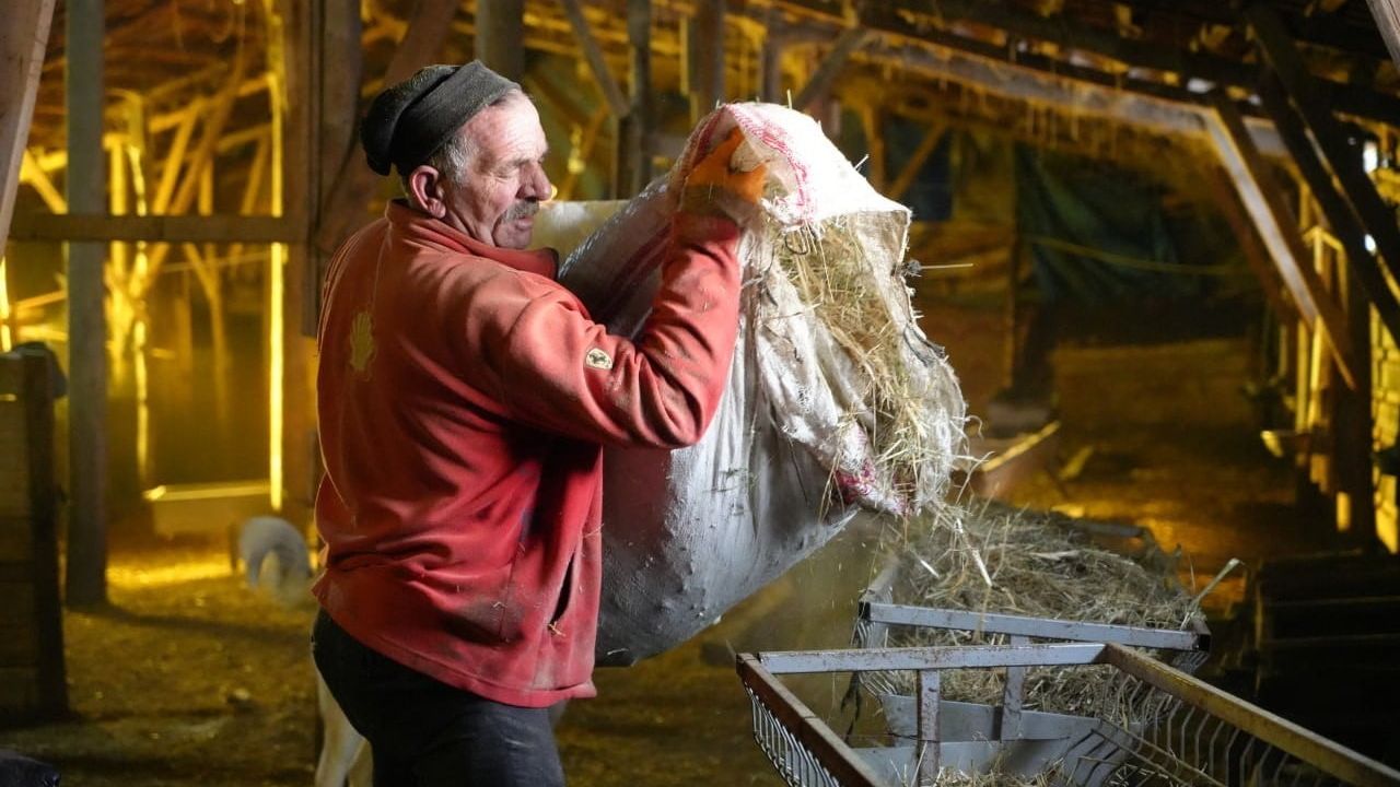 Bayburtlu Besici Zorlu Kış Şartlarına Rağmen 140 Hayvanına Bakıyor