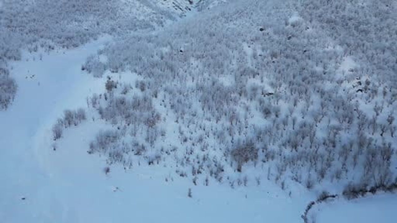 Beytüşşebap’ta Kar Yağışı Büyüleyici Manzaralar Yaratıyor